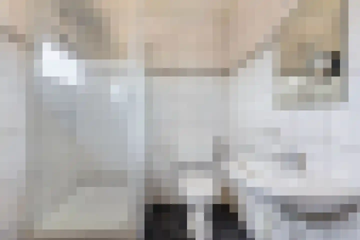 Meester Speestraat 3 Grevenbicht thumbnail 22