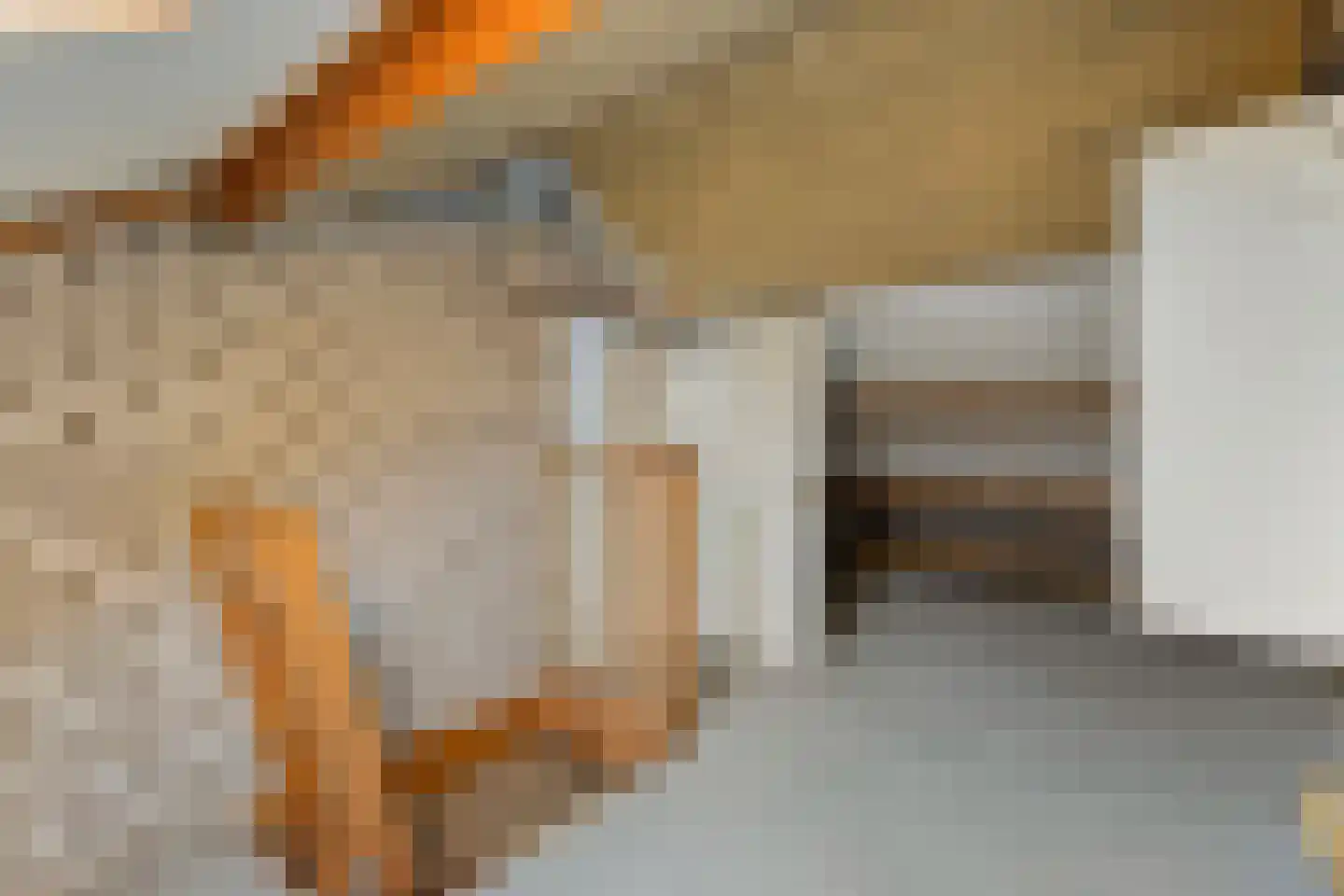 Meester Speestraat 3 Grevenbicht thumbnail 24
