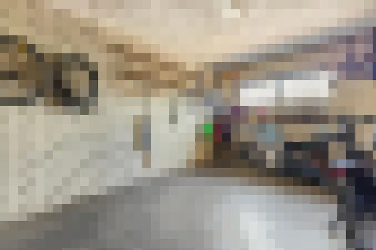 Meester Speestraat 3 Grevenbicht thumbnail 27