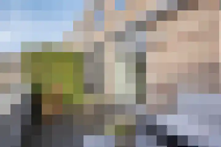Meester Spoermekerlaan 10 's-Hertogenbosch thumbnail 21