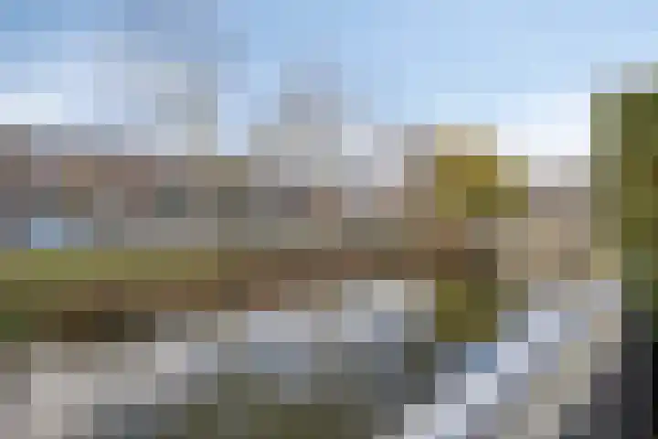 Meester Spoermekerlaan 10 's-Hertogenbosch thumbnail 22