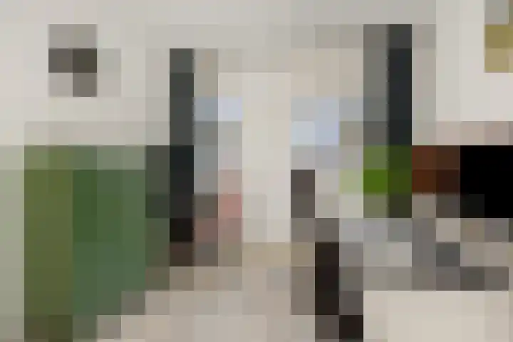 Meester Spoermekerlaan 12 's-Hertogenbosch thumbnail 16