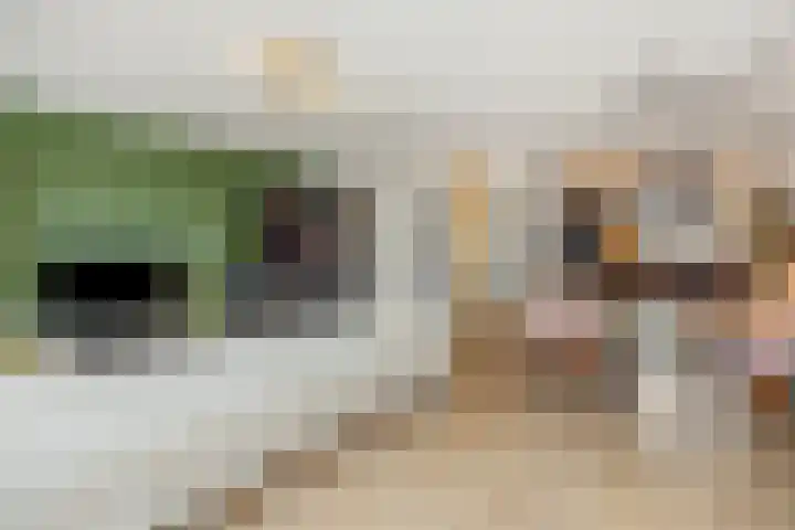 Meester Spoermekerlaan 12 's-Hertogenbosch thumbnail 4