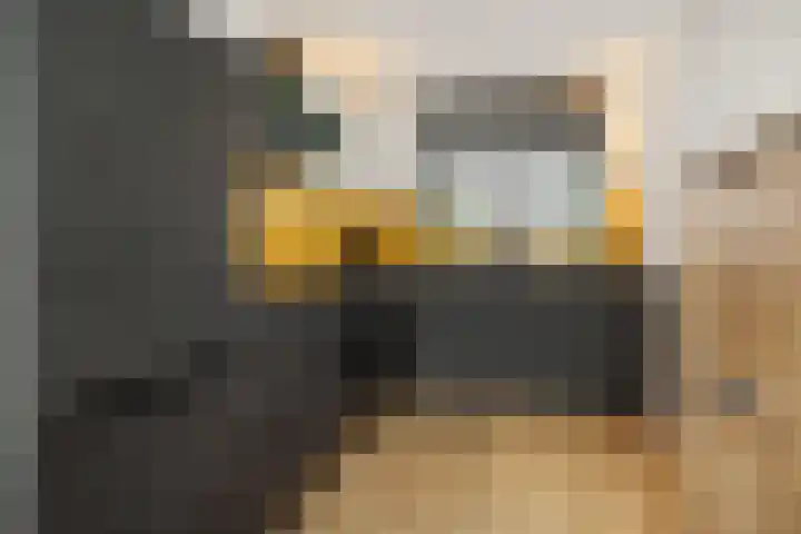 Meester Spoermekerlaan 12 's-Hertogenbosch thumbnail 8