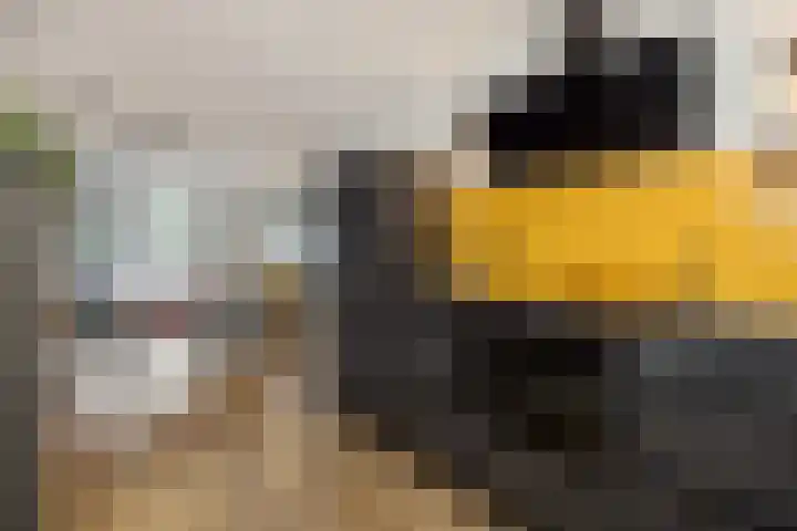 Meester Spoermekerlaan 12 's-Hertogenbosch thumbnail 9