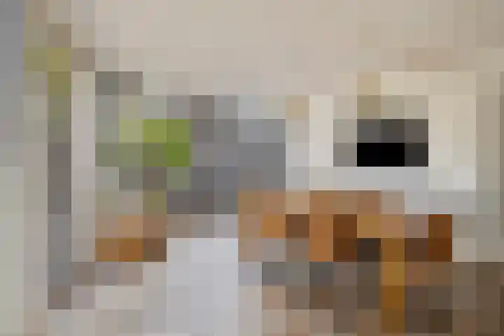 Meester Spoermekerlaan 15 's-Hertogenbosch thumbnail 10
