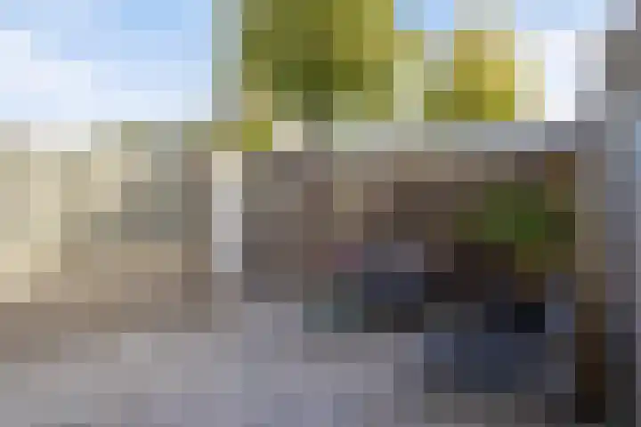 Meester Spoermekerlaan 15 's-Hertogenbosch thumbnail 13