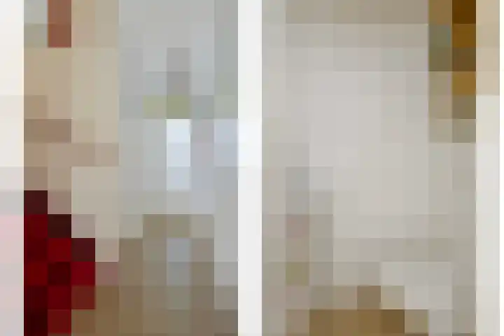 Meester Spoermekerlaan 15 's-Hertogenbosch thumbnail 15