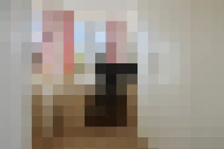 Meester Spoermekerlaan 15 's-Hertogenbosch thumbnail 19