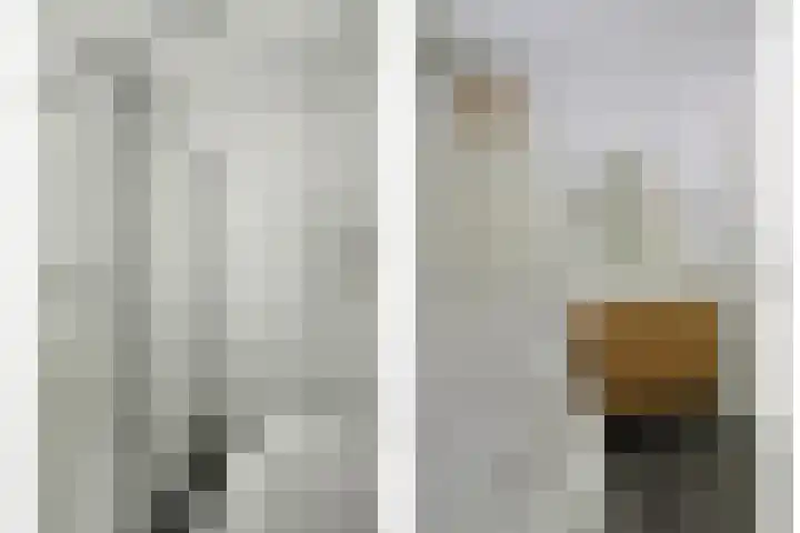 Meester Spoermekerlaan 15 's-Hertogenbosch thumbnail 21
