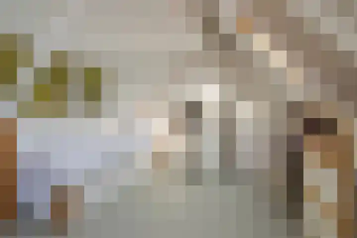 Meester Spoermekerlaan 15 's-Hertogenbosch thumbnail 22