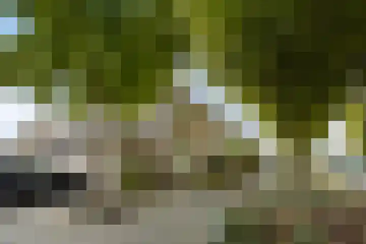 Meester Spoermekerlaan 15 's-Hertogenbosch thumbnail 23