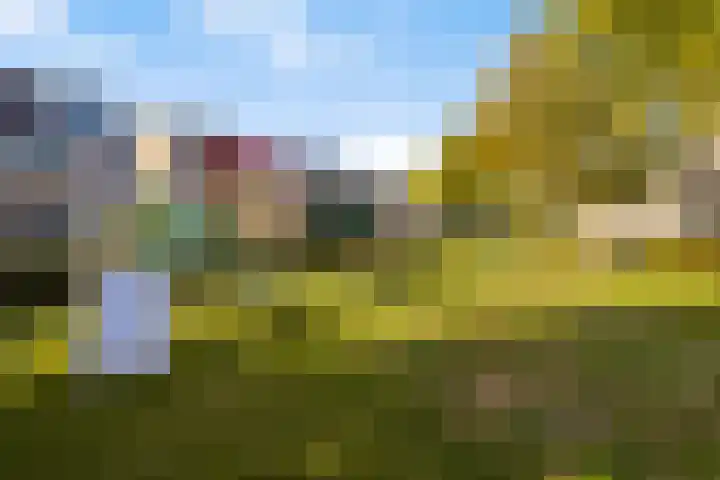 Meester Spoermekerlaan 15 's-Hertogenbosch thumbnail 24