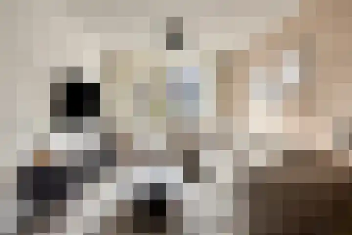 Meester Spoermekerlaan 21 's-Hertogenbosch thumbnail 13