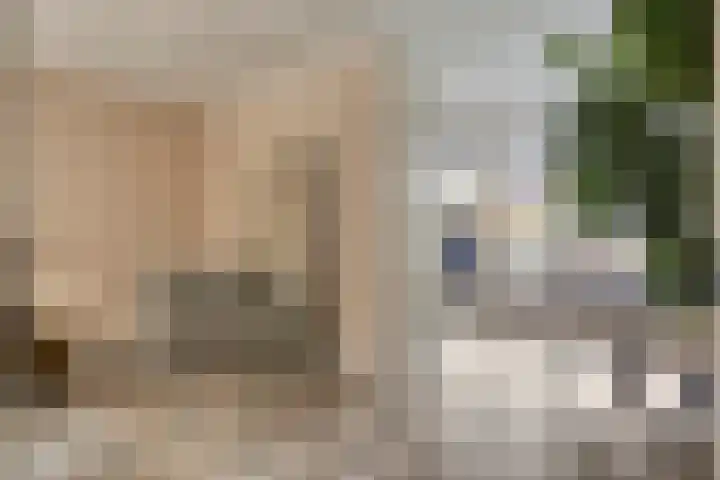 Meester Spoermekerlaan 21 's-Hertogenbosch thumbnail 18