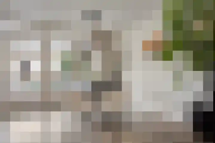 Meester Spoermekerlaan 21 's-Hertogenbosch thumbnail 19