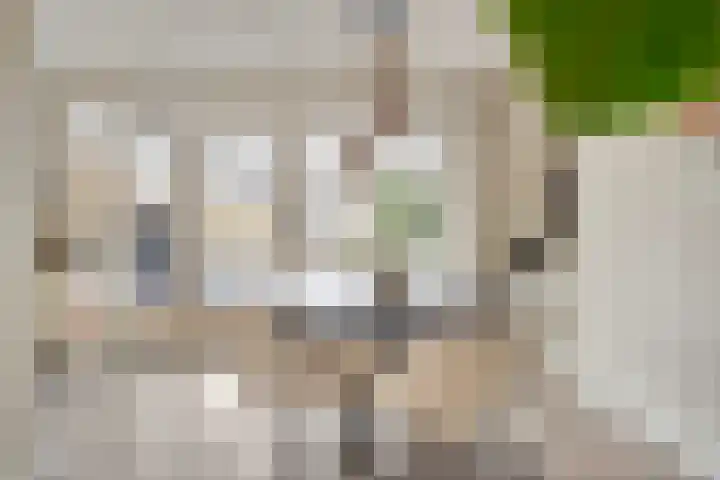 Meester Spoermekerlaan 21 's-Hertogenbosch thumbnail 20