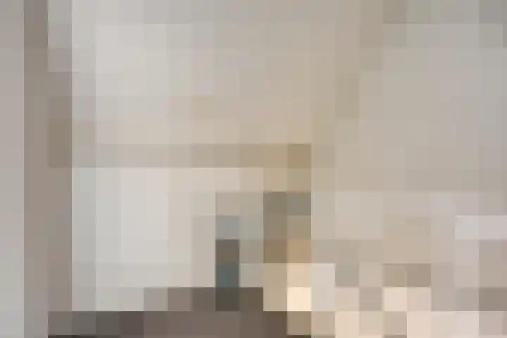 Meester Spoermekerlaan 21 's-Hertogenbosch thumbnail 30
