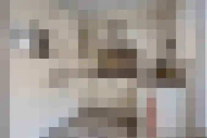 Meester Spoermekerlaan 21 's-Hertogenbosch thumbnail 4