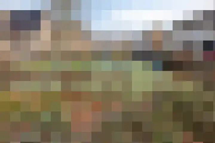 Meester Spoermekerlaan 21 's-Hertogenbosch thumbnail 40