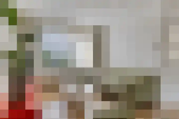 Meester Spoermekerlaan 23 's-Hertogenbosch thumbnail 12