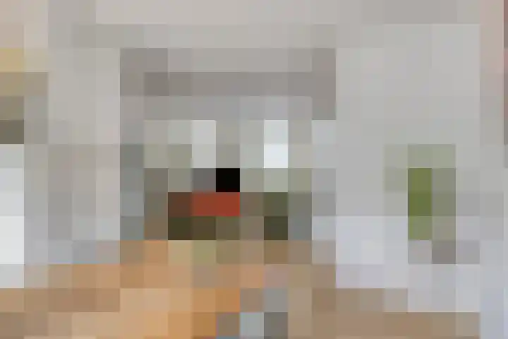 Meester Spoermekerlaan 23 's-Hertogenbosch thumbnail 14