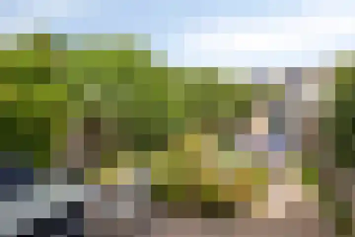 Meester Spoermekerlaan 23 's-Hertogenbosch thumbnail 33