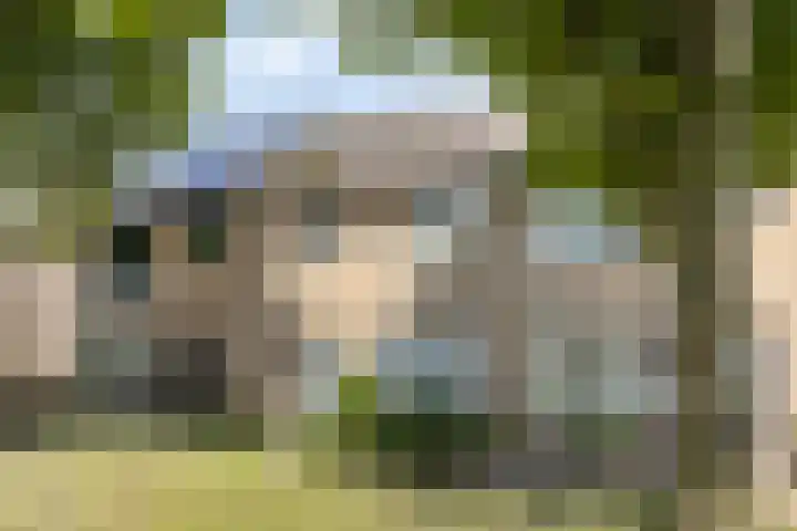 Meester Spoermekerlaan 23 's-Hertogenbosch thumbnail 6