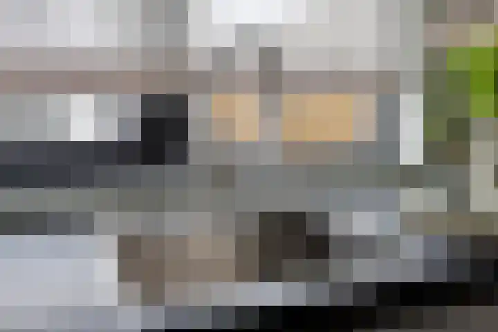 Meester Spoermekerlaan 31 's-Hertogenbosch thumbnail 13