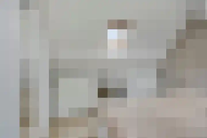 Meester Spoermekerlaan 31 's-Hertogenbosch thumbnail 30