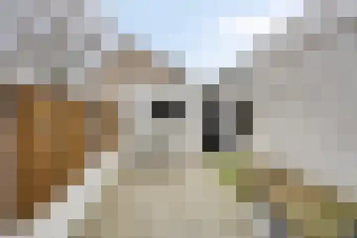 Meester Spoermekerlaan 31 's-Hertogenbosch thumbnail 32