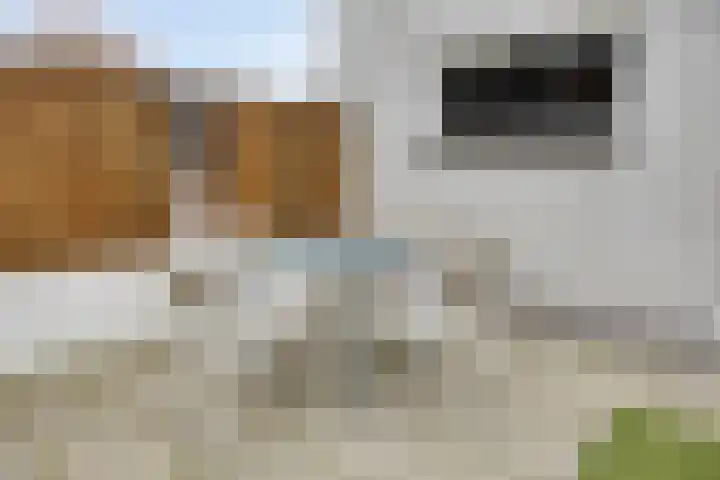 Meester Spoermekerlaan 31 's-Hertogenbosch thumbnail 33