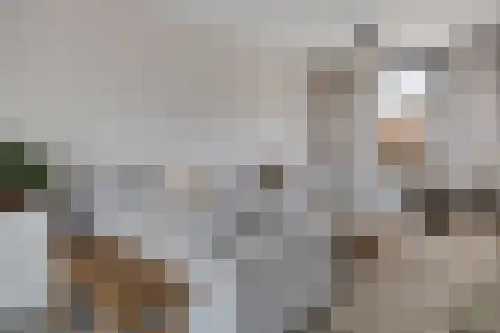 Meester Spoermekerlaan 31 's-Hertogenbosch thumbnail 7