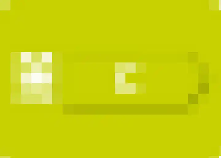 Meester Sprenkelsstraat 32 Sint Anthonis thumbnail 29