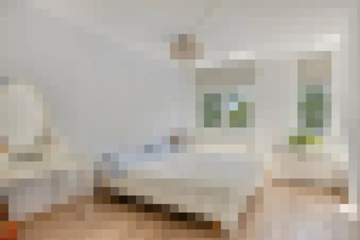 Meester Stappartlaan 16 's-Hertogenbosch thumbnail 13