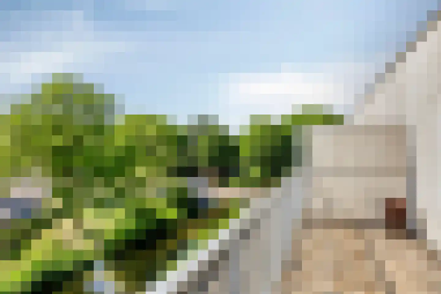 Meester Stappartlaan 16 's-Hertogenbosch thumbnail 24