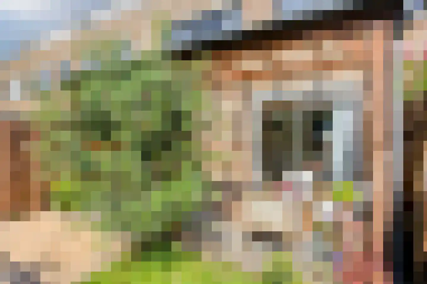 Meester Stappartlaan 16 's-Hertogenbosch thumbnail 25