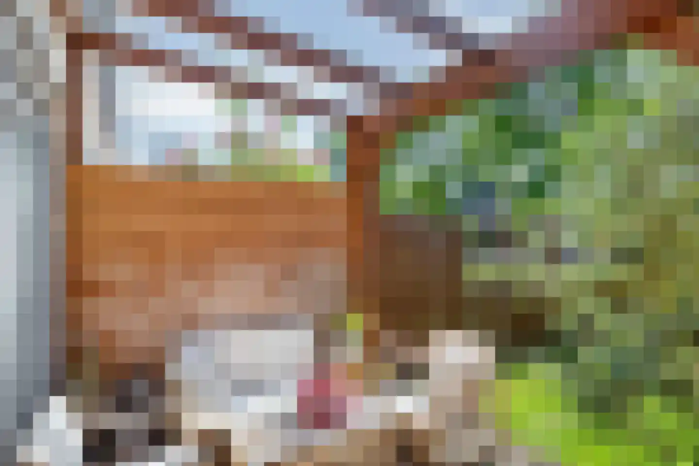 Meester Stappartlaan 16 's-Hertogenbosch thumbnail 29