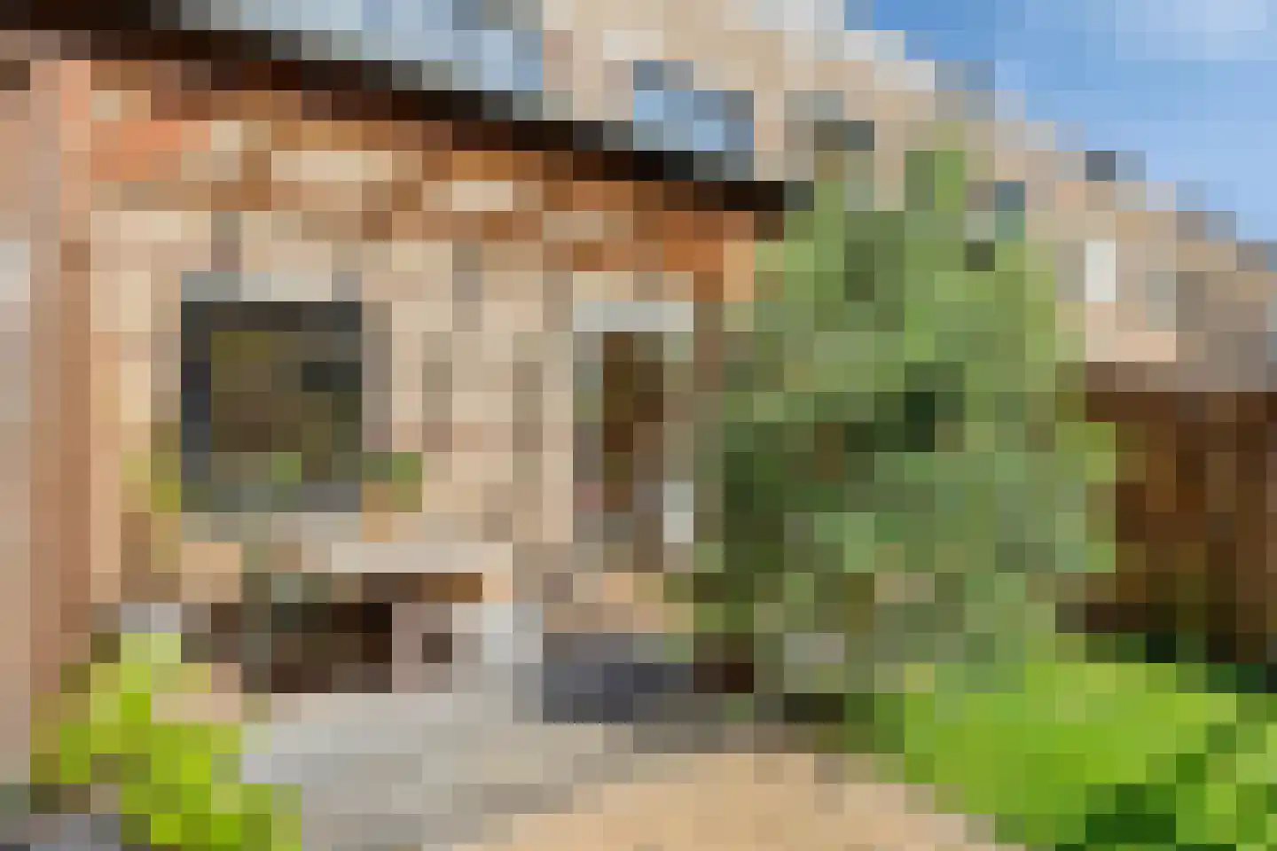 Meester Stappartlaan 16 's-Hertogenbosch thumbnail 30