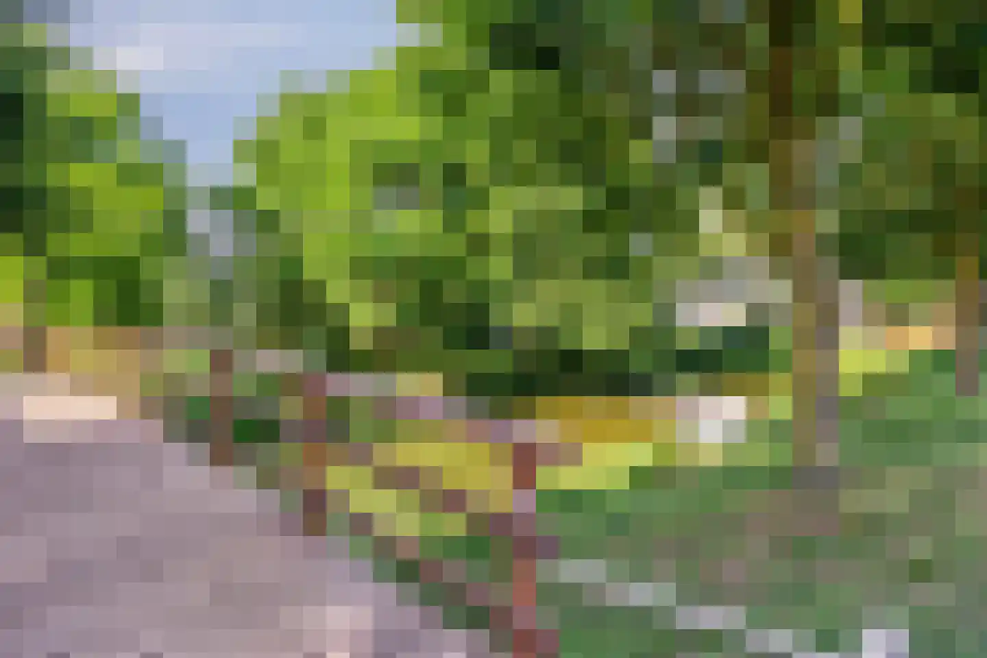 Meester Stappartlaan 16 's-Hertogenbosch thumbnail 34
