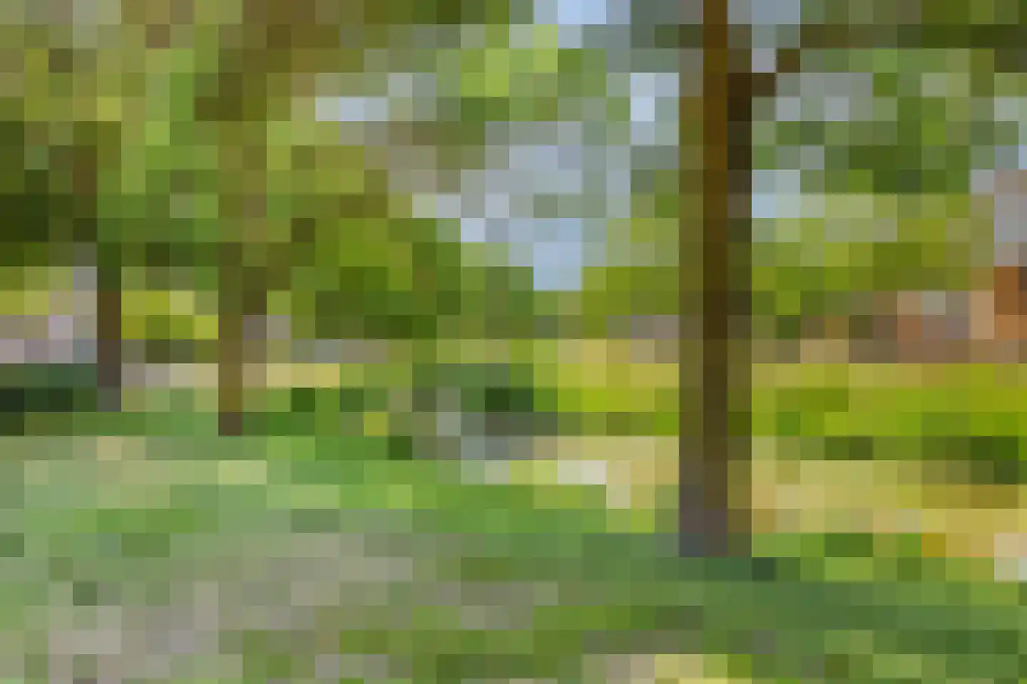 Meester Stappartlaan 16 's-Hertogenbosch thumbnail 35