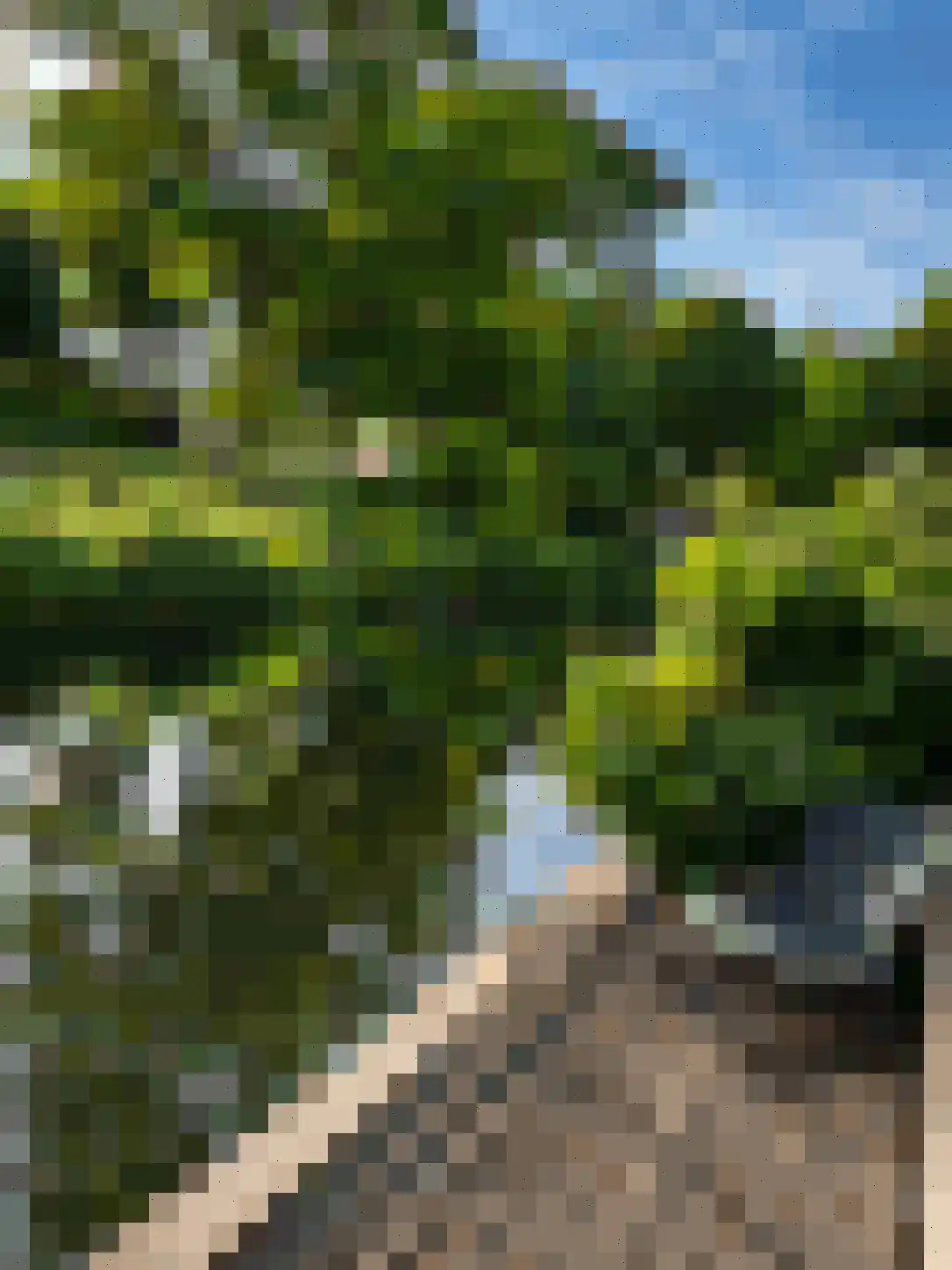 Meester Stappartlaan 16 's-Hertogenbosch thumbnail 37