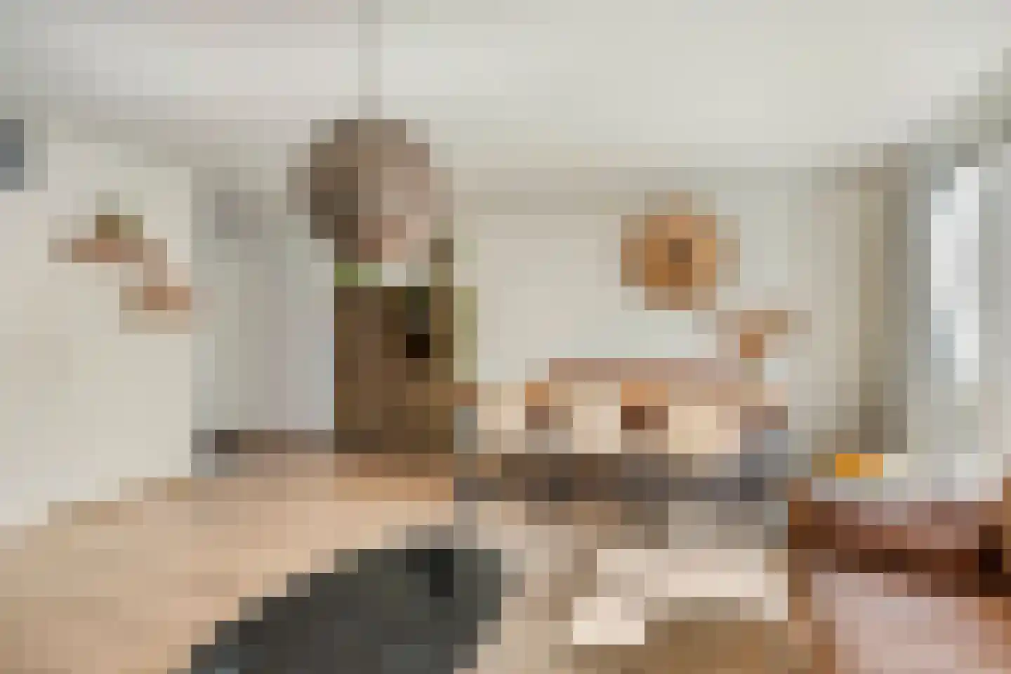 Meester Stappartlaan 16 's-Hertogenbosch thumbnail 6