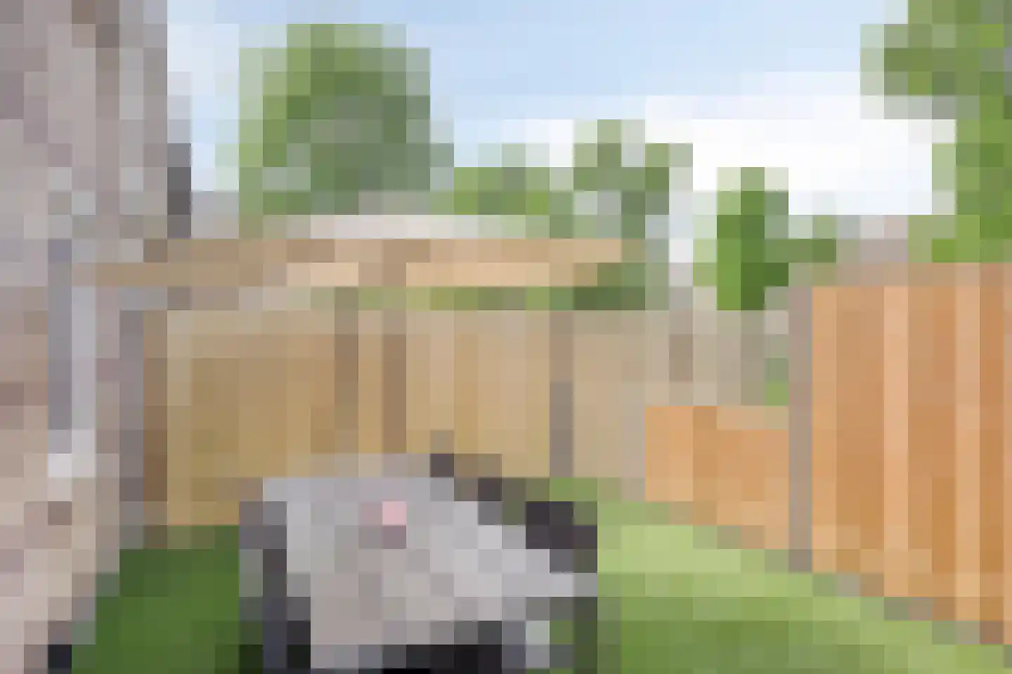 Meester Stappartlaan 6 's-Hertogenbosch thumbnail 34