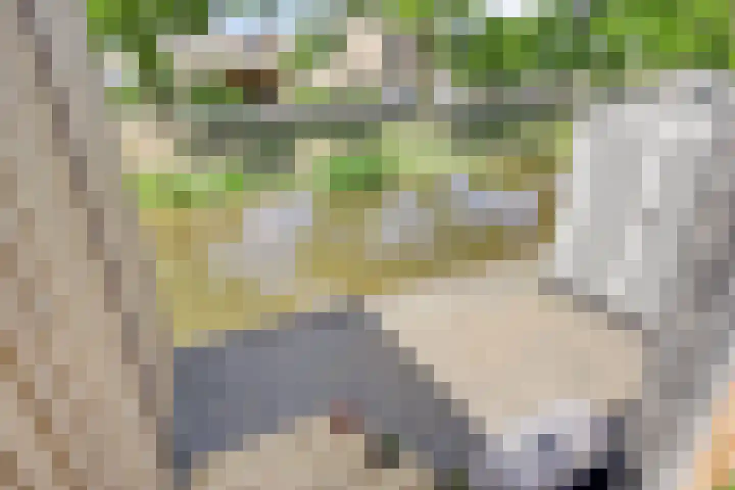 Meester Stappartlaan 6 's-Hertogenbosch thumbnail 37