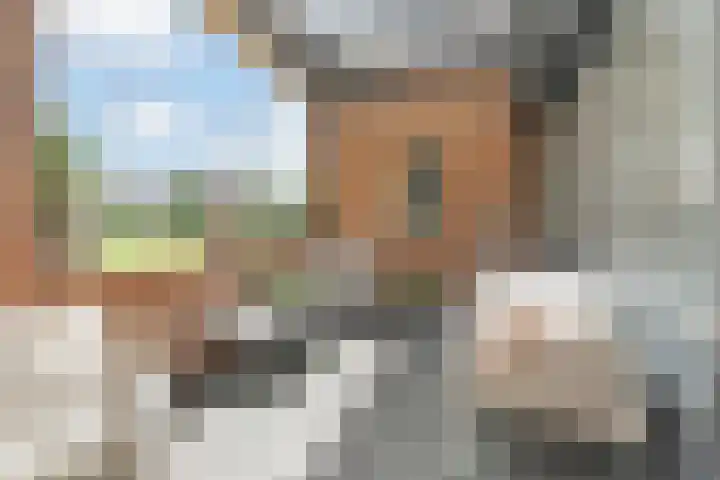 Meester Steenwegpad 14 Nootdorp thumbnail 10