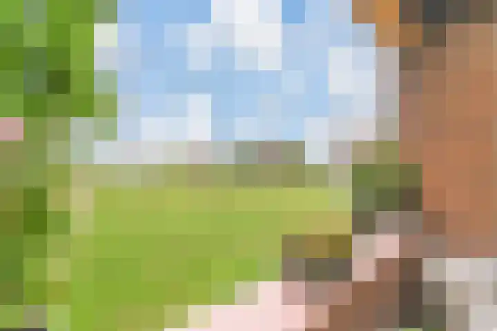Meester Steenwegpad 14 Nootdorp thumbnail 11