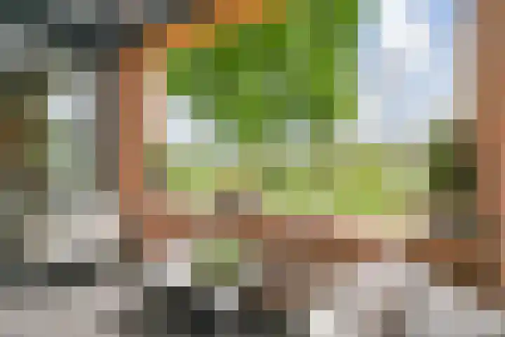 Meester Steenwegpad 14 Nootdorp thumbnail 13