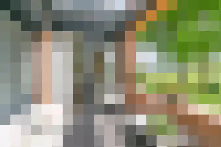 Meester Steenwegpad 14 Nootdorp thumbnail 14