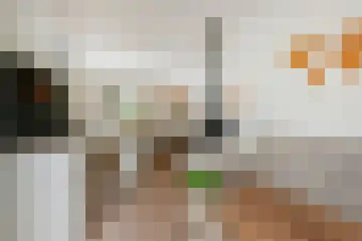 Meester Steenwegpad 14 Nootdorp thumbnail 18